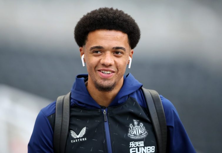 جمال لوییس منتفی شد؛ پرسپولیس دنبال گزینه جدید جمال لوییس منتفی شد؛ پرسپولیس دنبال گزینه جدید