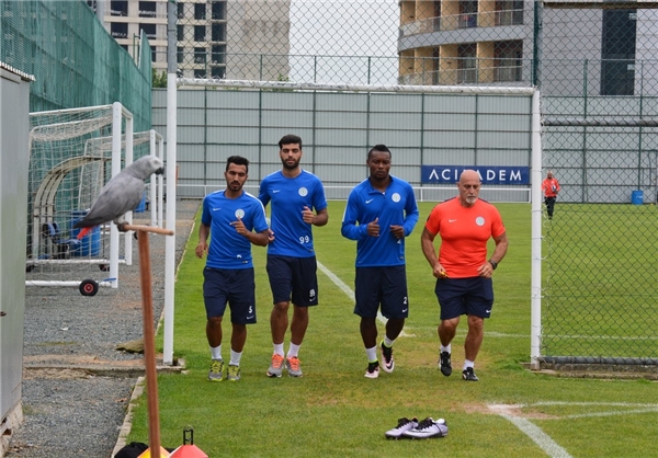 طارمی به علت مصدومیت انفرادی تمرین کرد+عکس